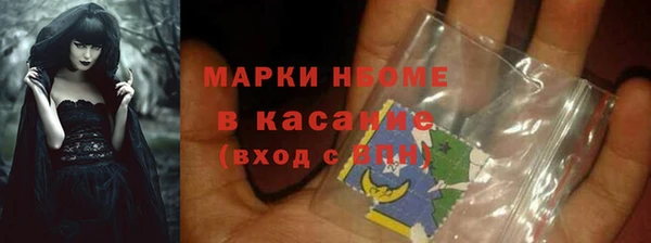 гидра Надым