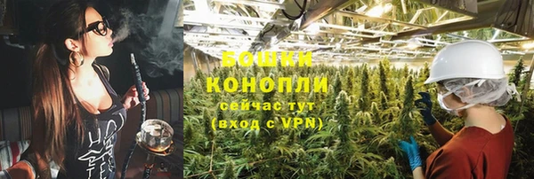 гидра Надым