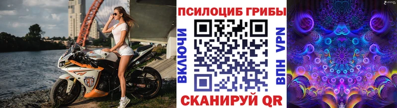 Псилоцибиновые грибы ЛСД  Полтавская 